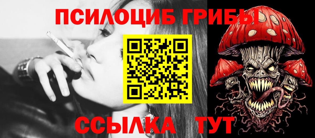 Нижнеудинск  Псилоцибиновые грибы мицелий  Вход с VPN  Псилоцибиновые грибы мухоморы 